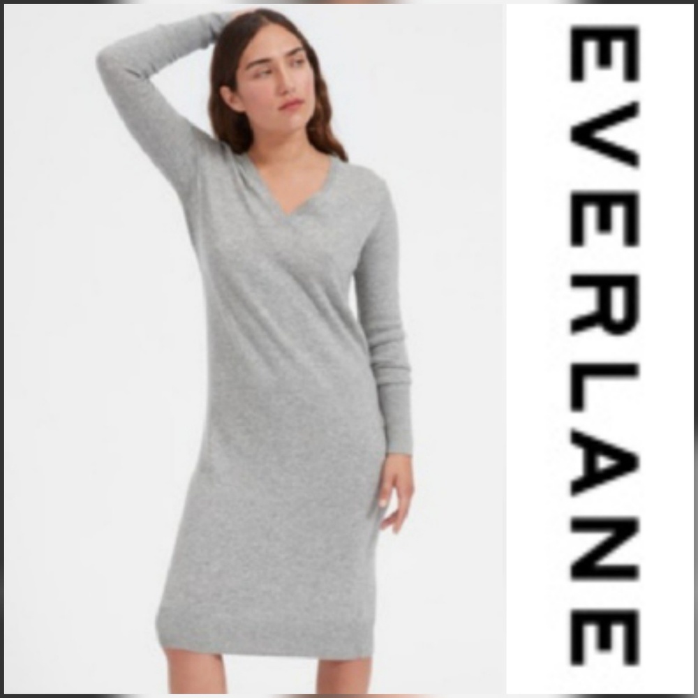 Everlane Cashmere Dress